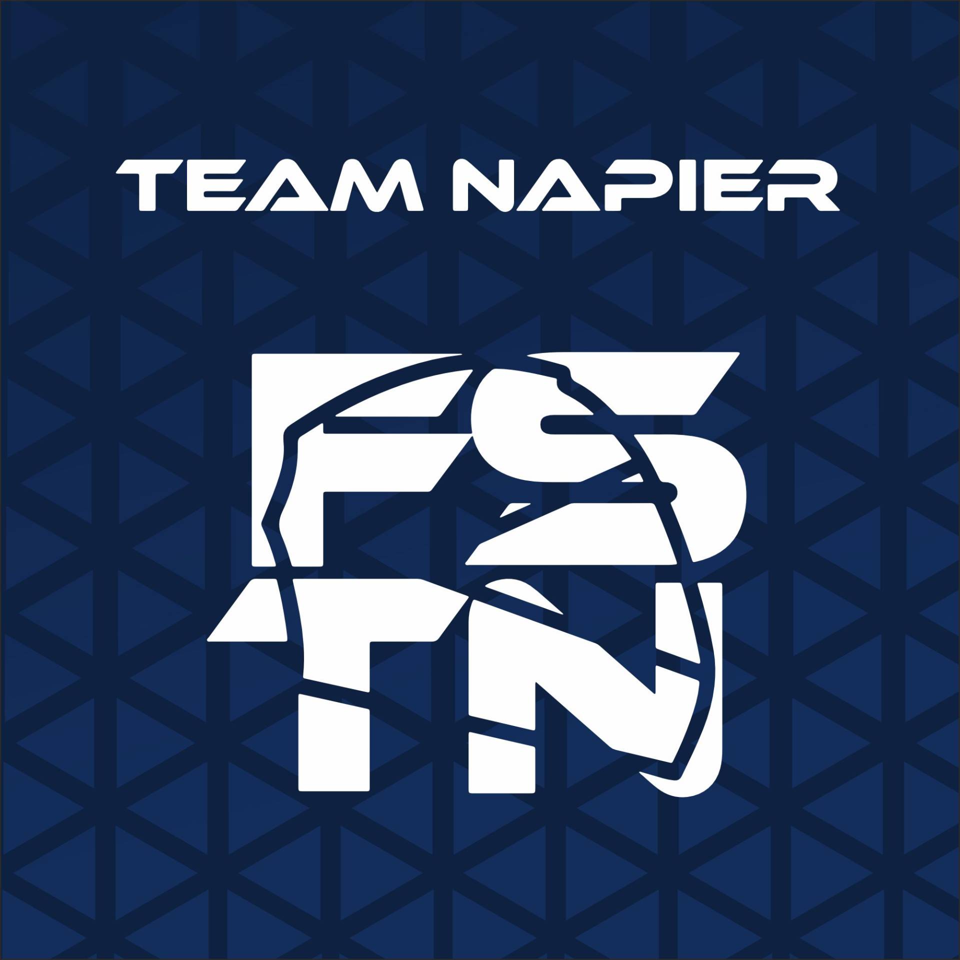 Harlequin TeamNapier Header